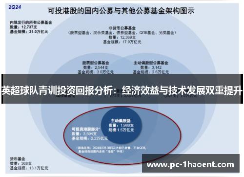 英超球队青训投资回报分析：经济效益与技术发展双重提升