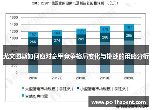 尤文图斯如何应对意甲竞争格局变化与挑战的策略分析