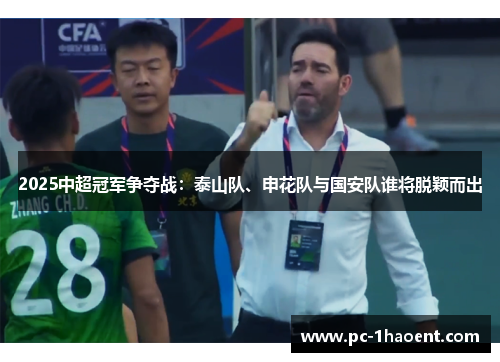2025中超冠军争夺战：泰山队、申花队与国安队谁将脱颖而出