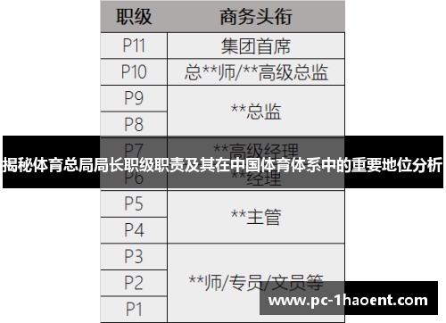 揭秘体育总局局长职级职责及其在中国体育体系中的重要地位分析