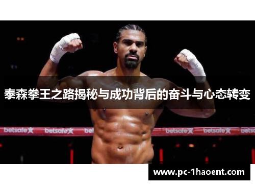 泰森拳王之路揭秘与成功背后的奋斗与心态转变