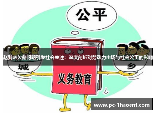 赵鹏谈欠薪问题引发社会关注：深度剖析对劳动力市场与社会公平的影响
