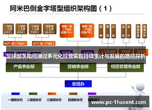 足球部落如何通过多元化经营实现持续生计与发展的路径探析