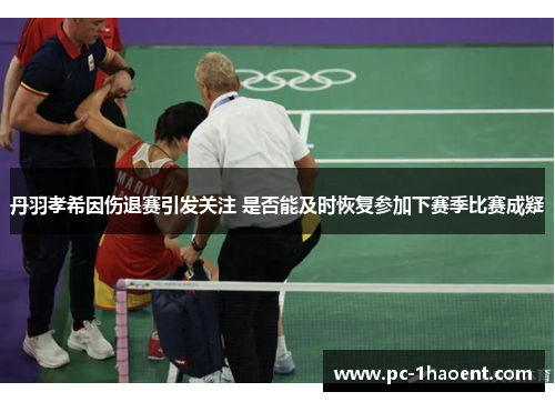 丹羽孝希因伤退赛引发关注 是否能及时恢复参加下赛季比赛成疑
