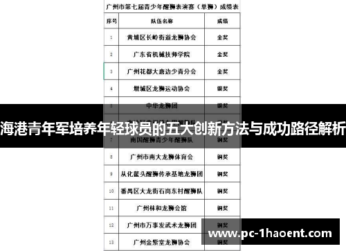 海港青年军培养年轻球员的五大创新方法与成功路径解析