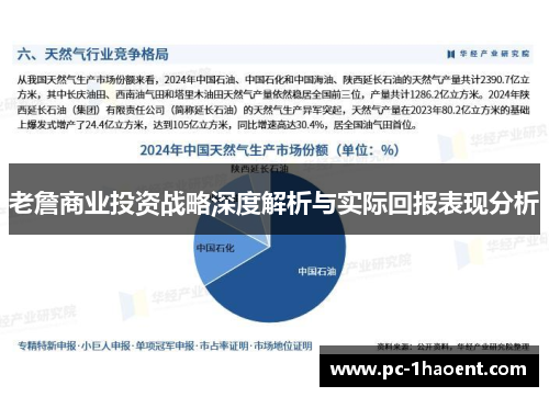 老詹商业投资战略深度解析与实际回报表现分析