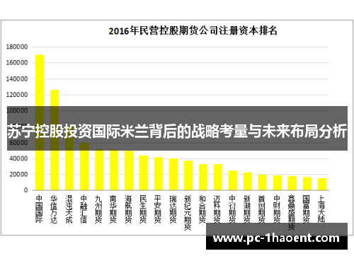 苏宁控股投资国际米兰背后的战略考量与未来布局分析